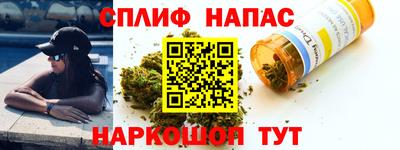 Альфа ПВП Можга