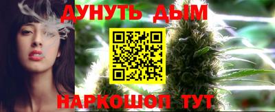 Альфа ПВП Можга