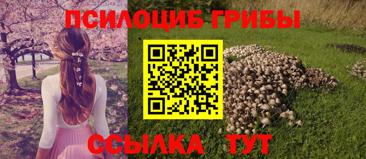 Псилоцибиновые грибы Magic Shrooms Тара